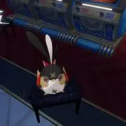 さくらの画像