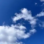 よっしんの画像