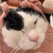 mw   ღプロフ必読の画像