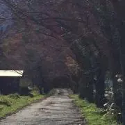 取り引きは迅速の画像