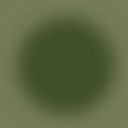 き