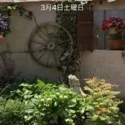 ゆうゆ