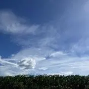 チーズケーキの画像