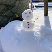なめこの画像
