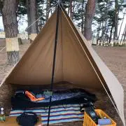 伊藤園