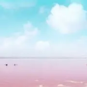 Sk16の画像