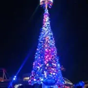 さくらんぼの画像