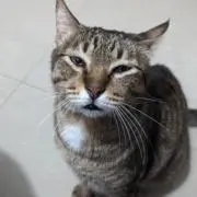 ウィン