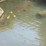 ひろ