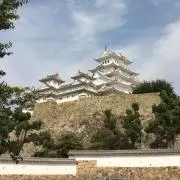 まあこの画像