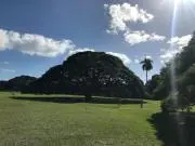 もちもちの画像