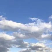 ぽん