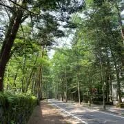 tyuxridの画像