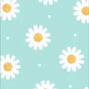 ♡como♡