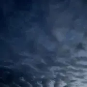 Rinの画像