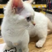 ♡momo♡の画像