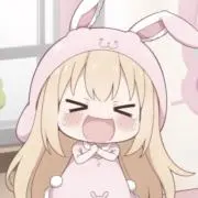 ノアの画像
