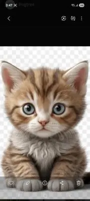 にゃんこの画像