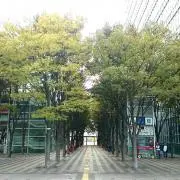 あやかの画像