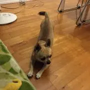 そら