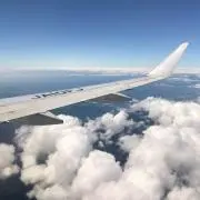 うめ★の画像
