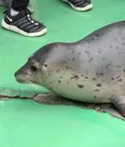 ミロ