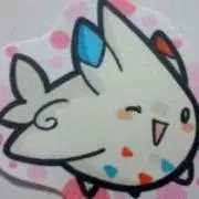 珊瑚の画像