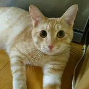 るんピカッ✨