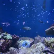 ミーツーの画像