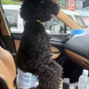 りらの画像