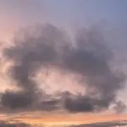 ナビ　まとめ割ありの画像