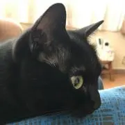 mayukaの画像