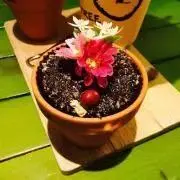 いちごの画像