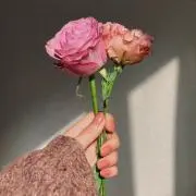 ｐ＊の画像