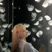 N