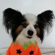 コナン