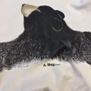 耕輔の画像