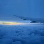 キキの画像