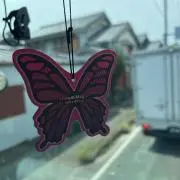スー☆