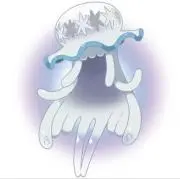 海月の画像