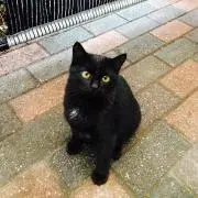 あーちゃん