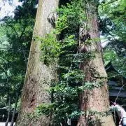 めーの画像