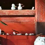 モチロンデの画像