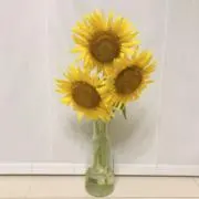 しおりの画像