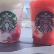 おもち。の画像