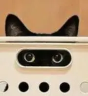 ひなた(コレクション整理中) ▶プロフの画像