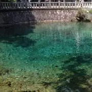 ダヤンの画像