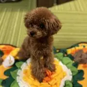 プロフ必須hy★断捨離中の画像