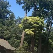 あかつきの画像