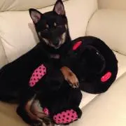 evil dark
